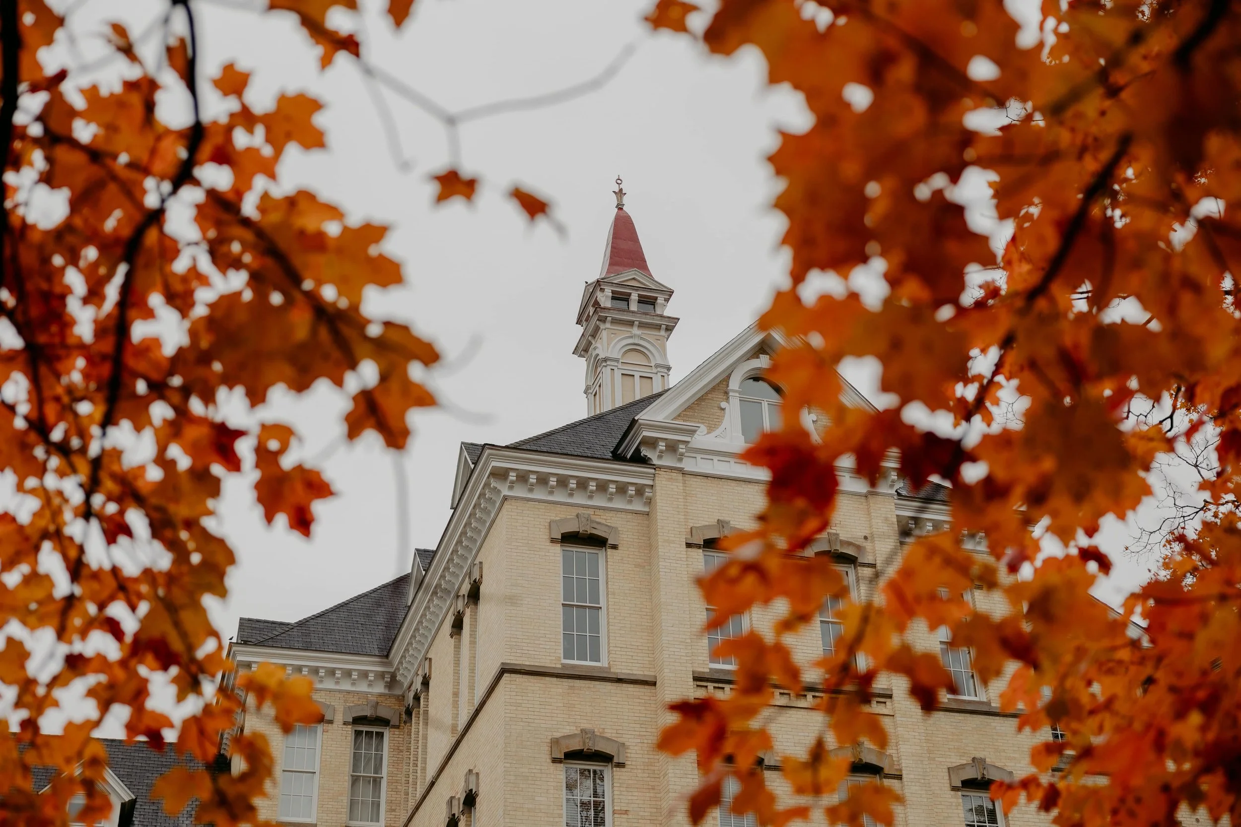 Fall colors at The Holiday House
