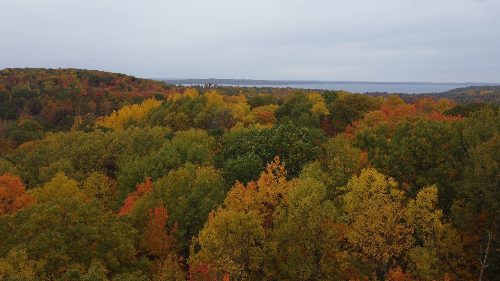 Aerial view of northern Michigan forest in peak fall color with Grand Traverse Bay on the horizon