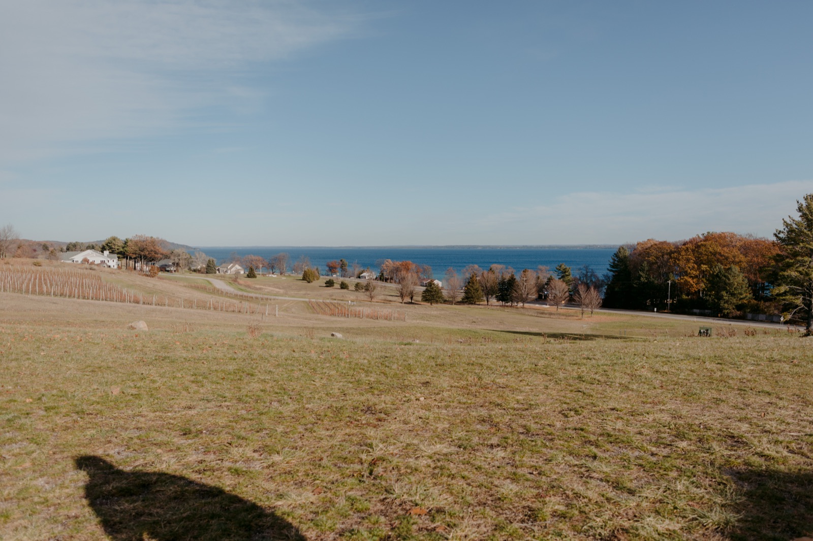 Vineyard rows and farmland above the blue water of Grand Traverse Bay on a clear late-fall day