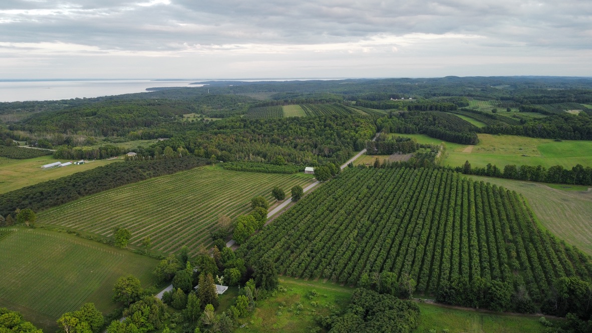 Aerial view of Leelanau Peninsula wine country