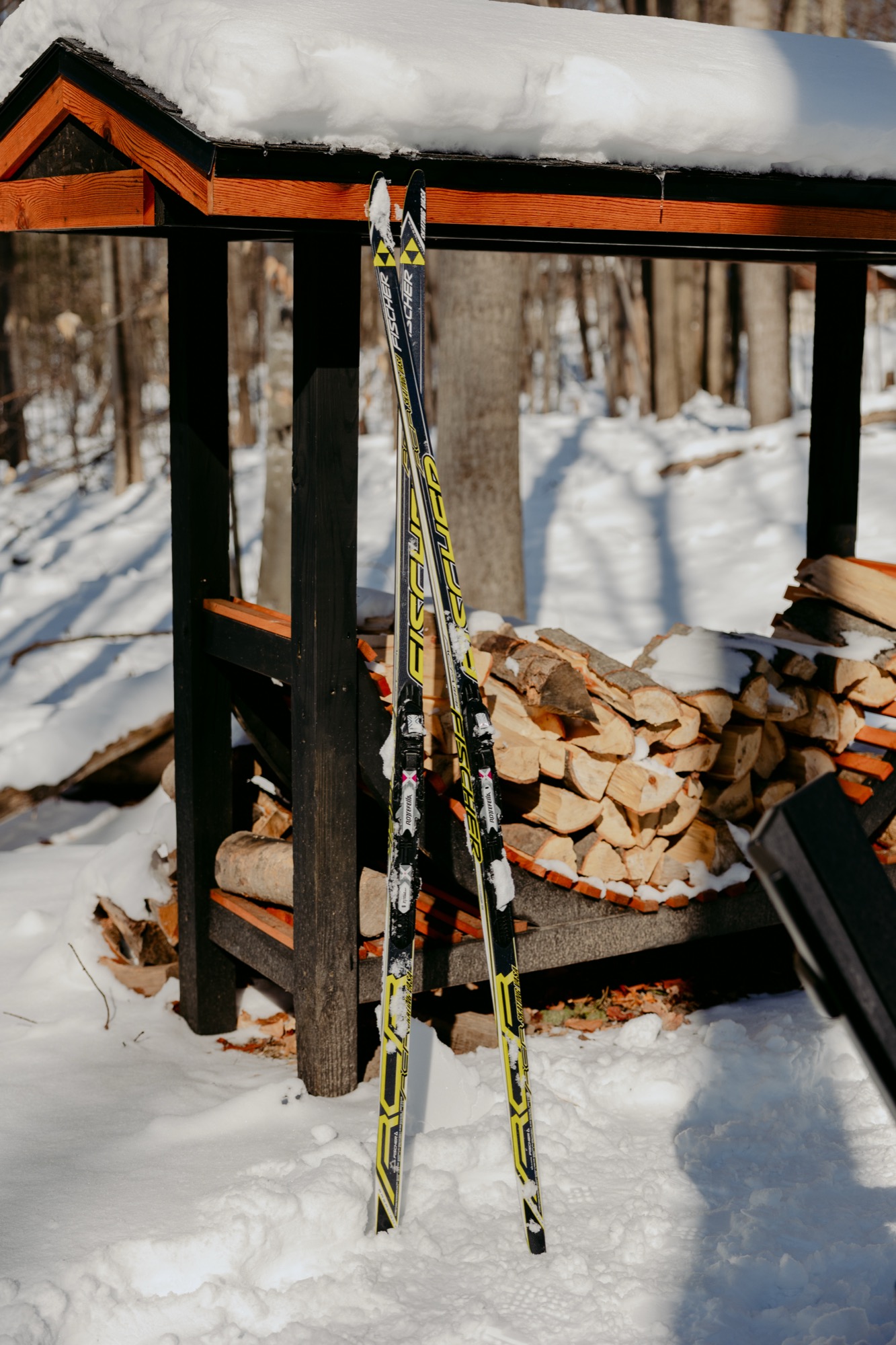 Winter in Traverse City: Why the Off-Season Is the Best-Kept Secret